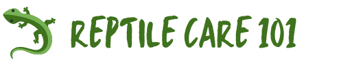 Reptile Care 101